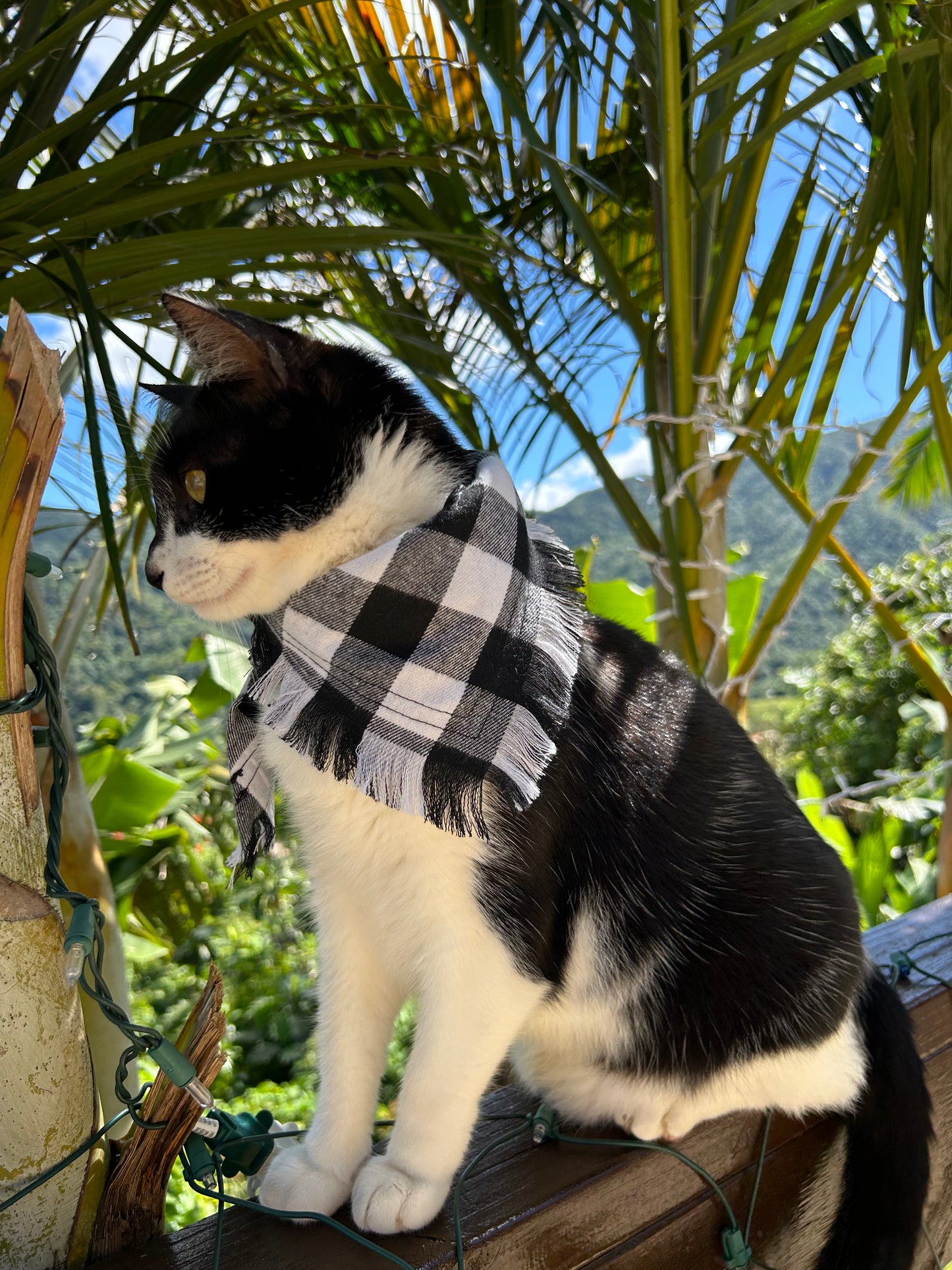 White winter bandana