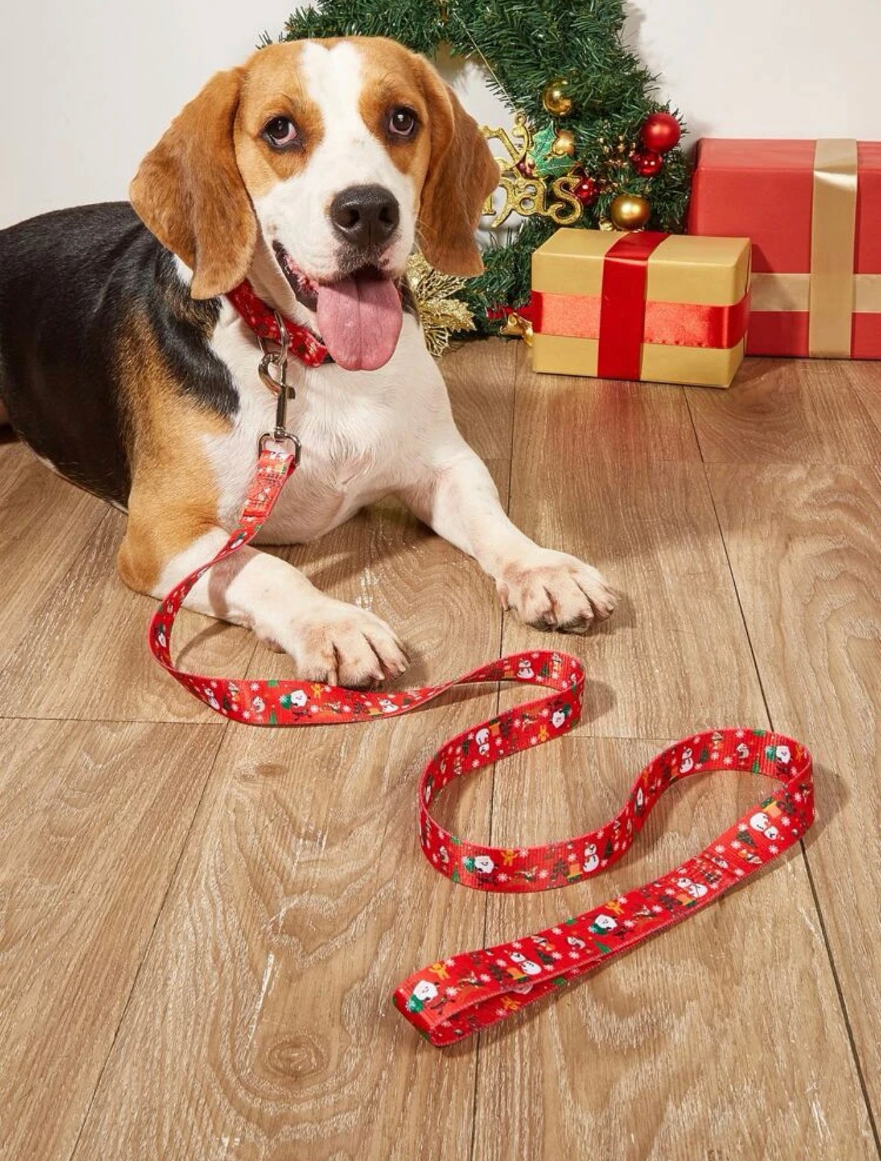 Santa dog leash