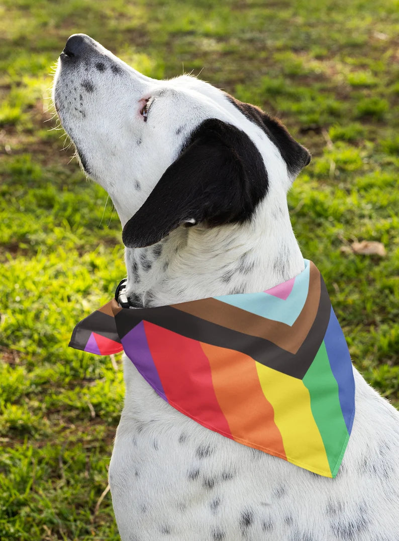 Bandana de Arco Iris