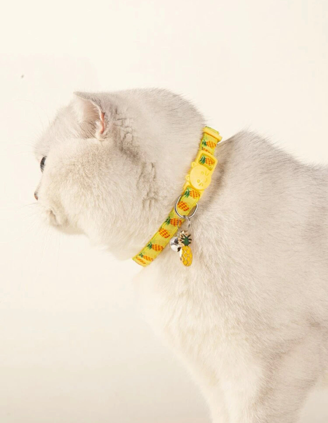 Collar de frutas para gatos