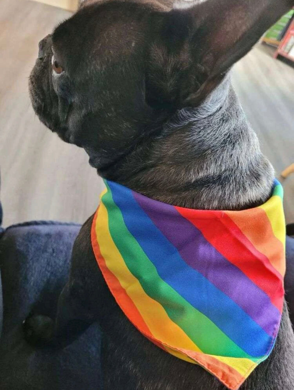 Bandana de Arco Iris