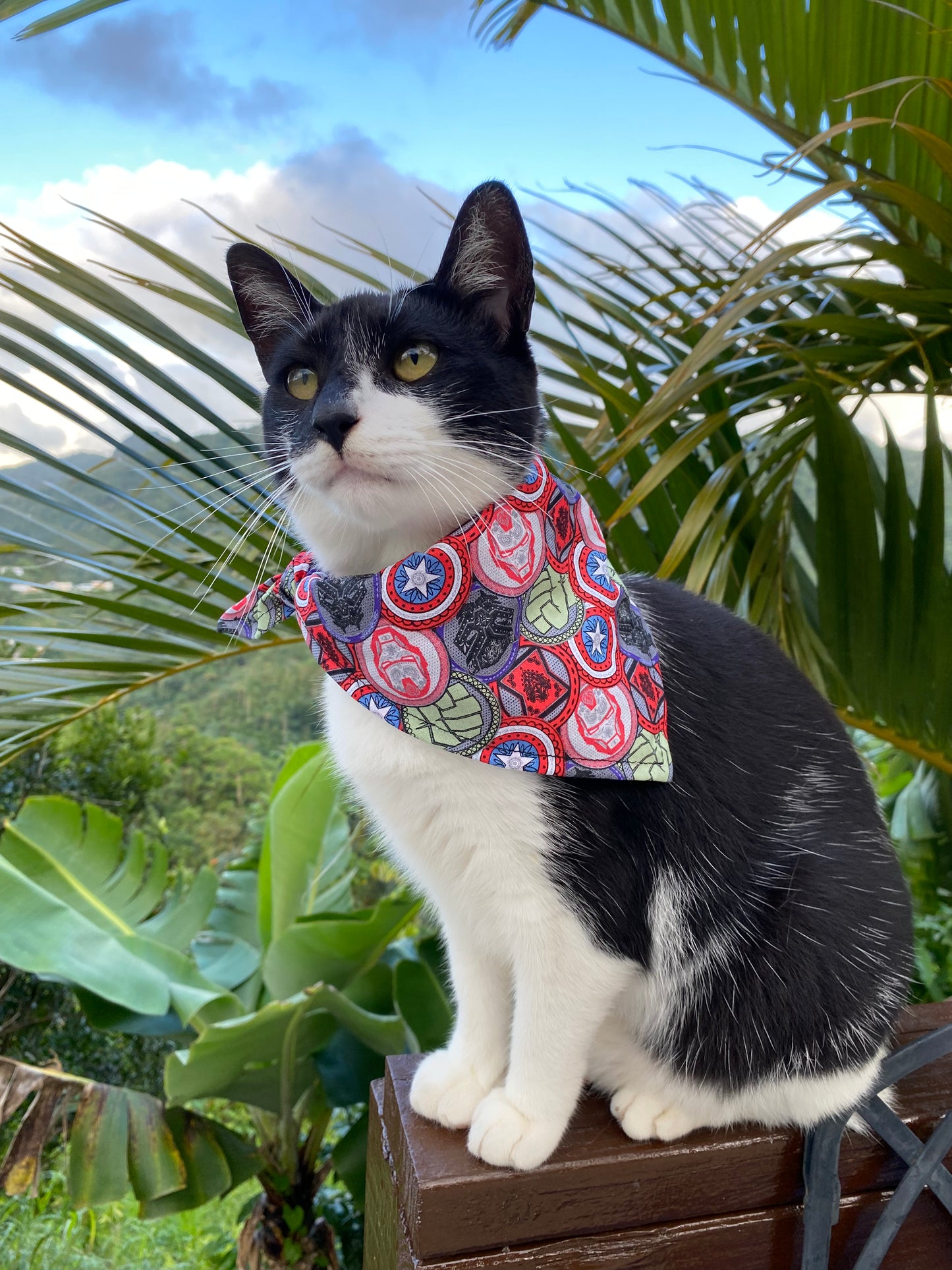 Super Heroes Bandana