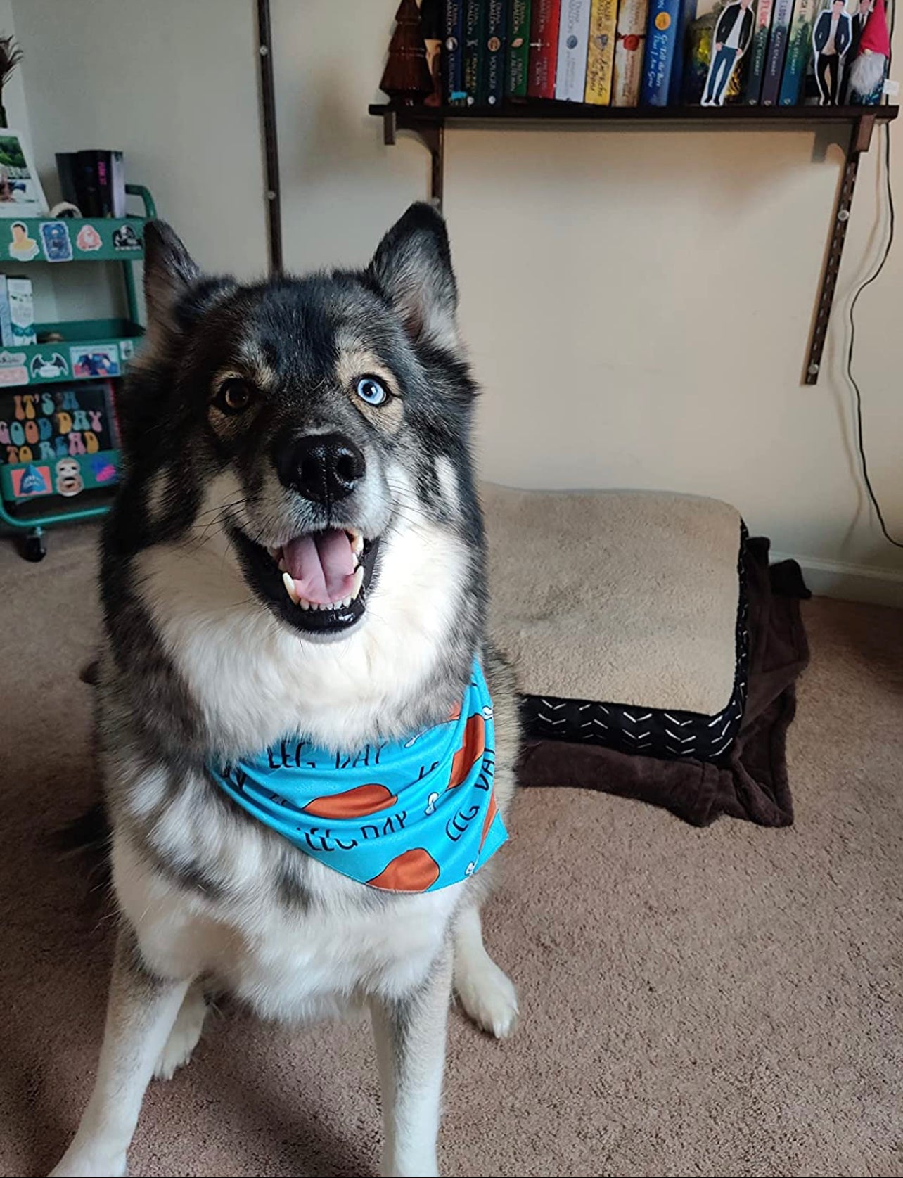 Turkey day bandana