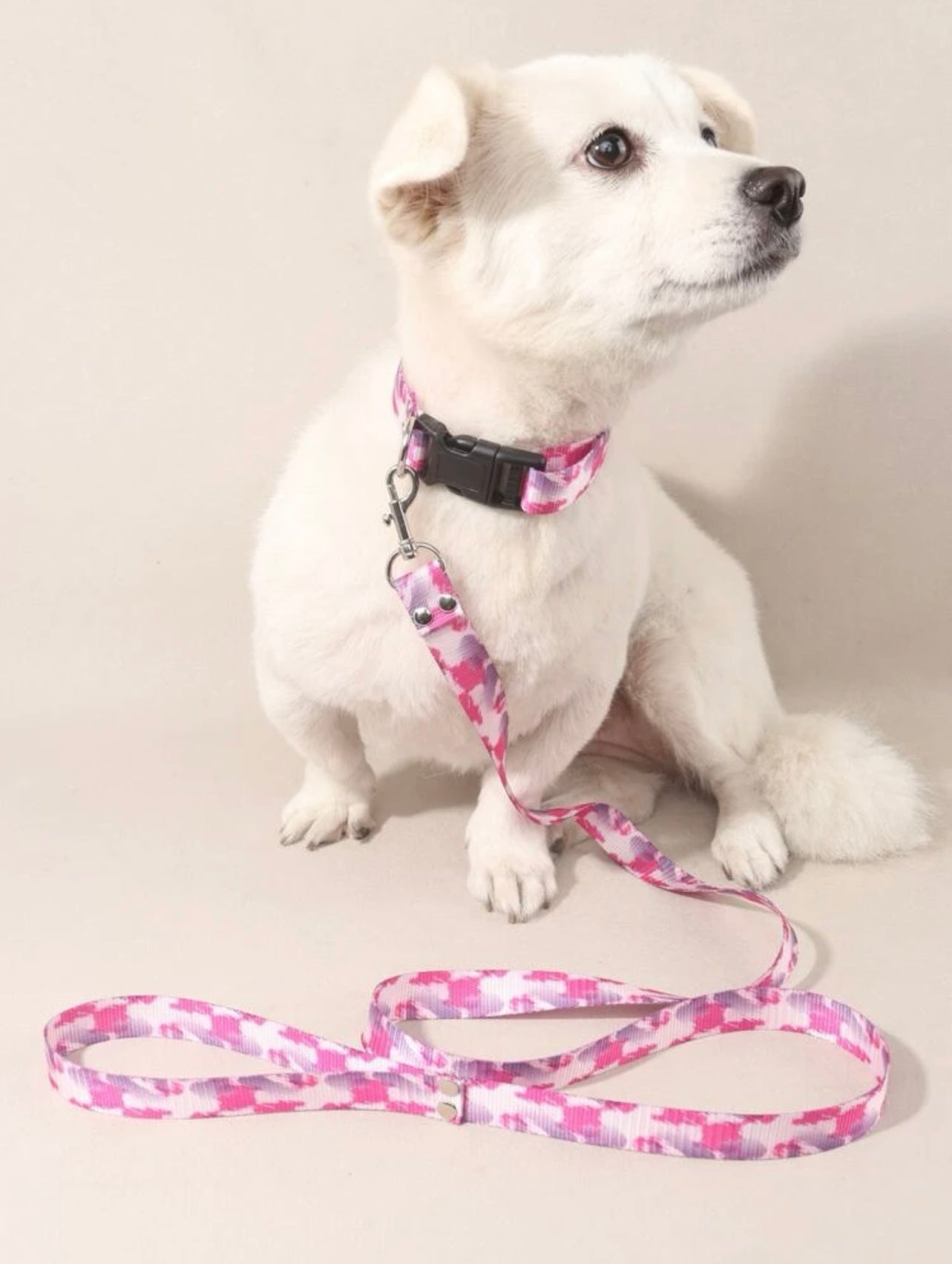 Pink collar & leash set