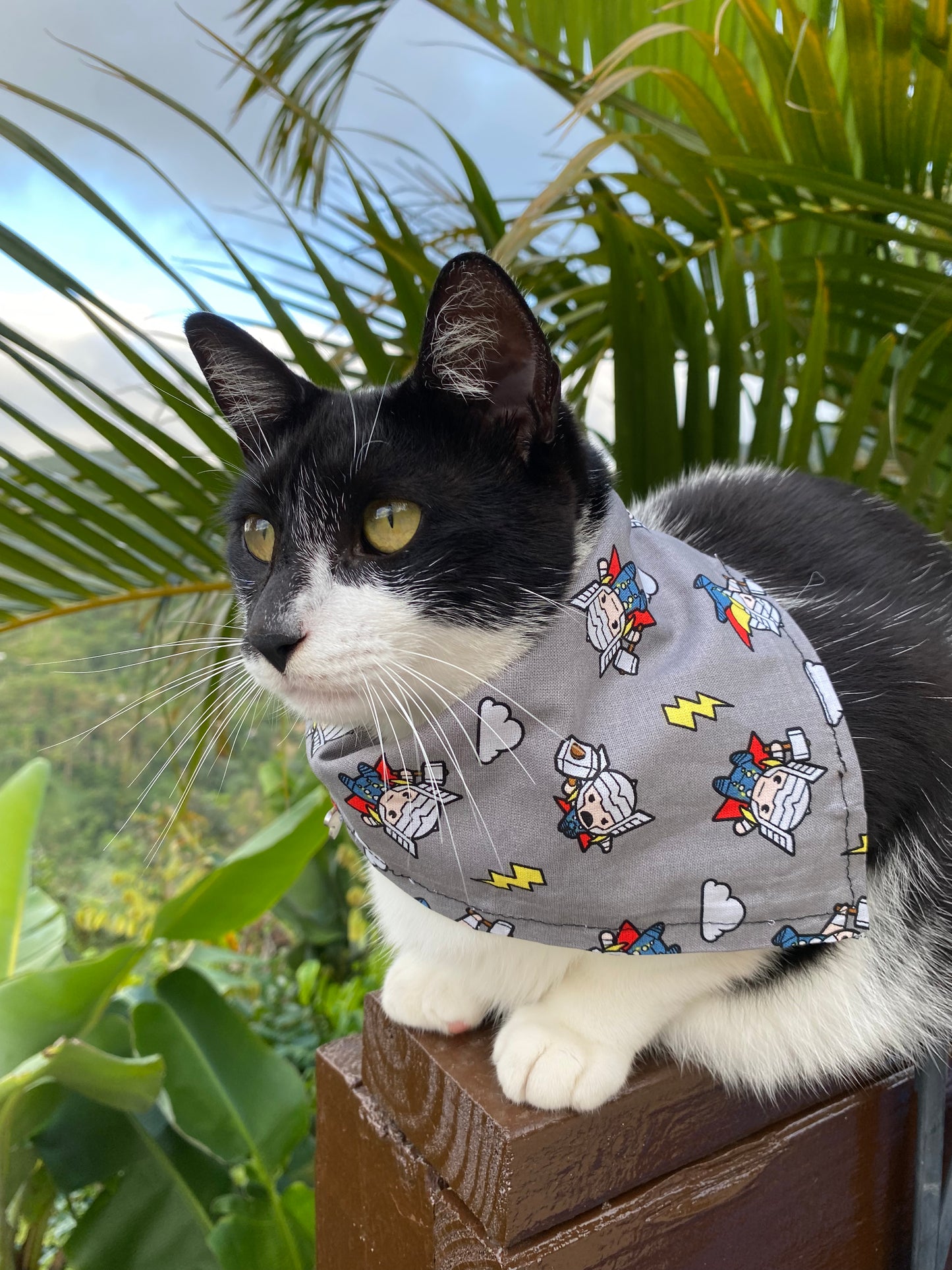 Super Heroes Bandana