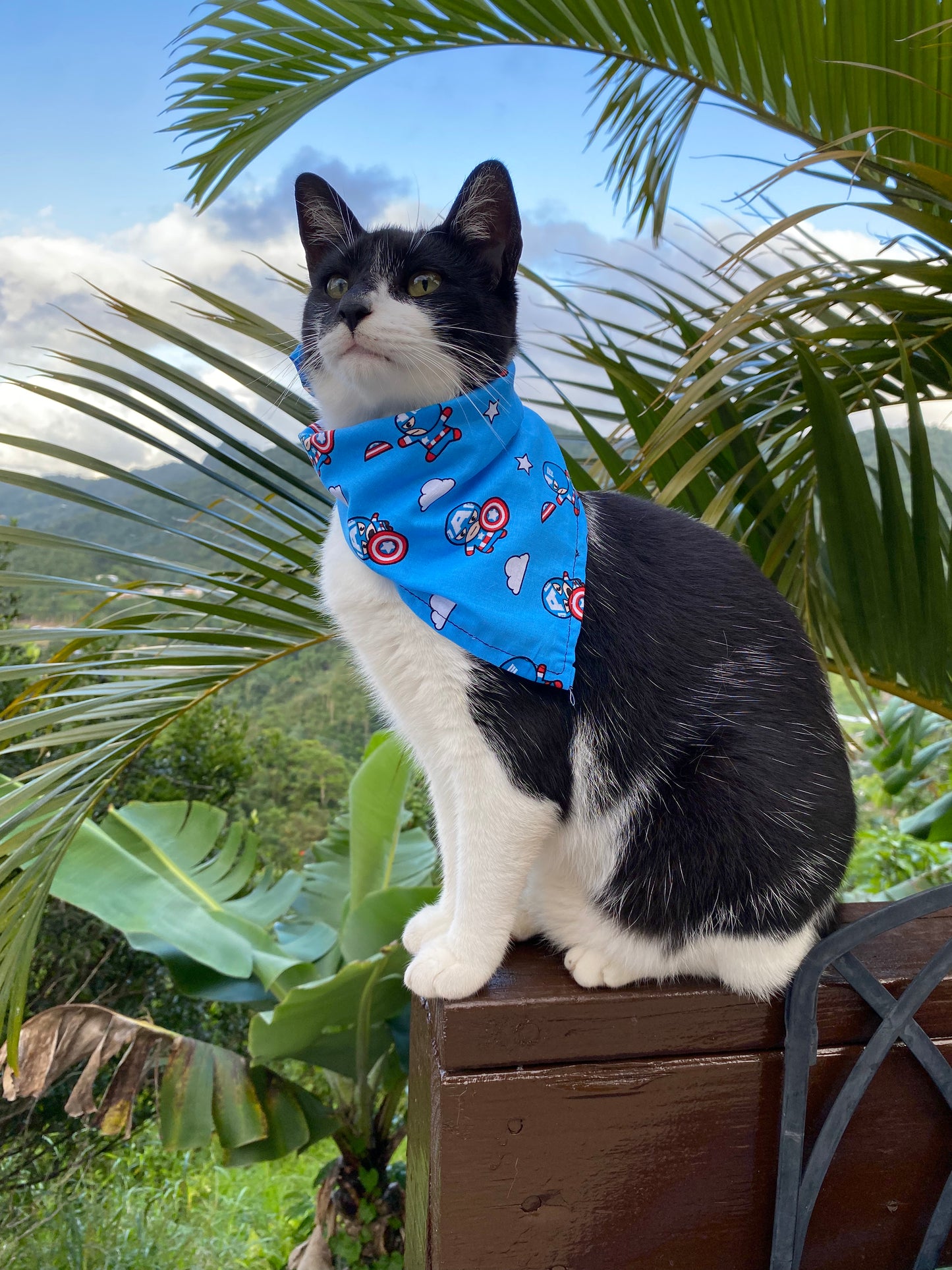 Super Heroes Bandana