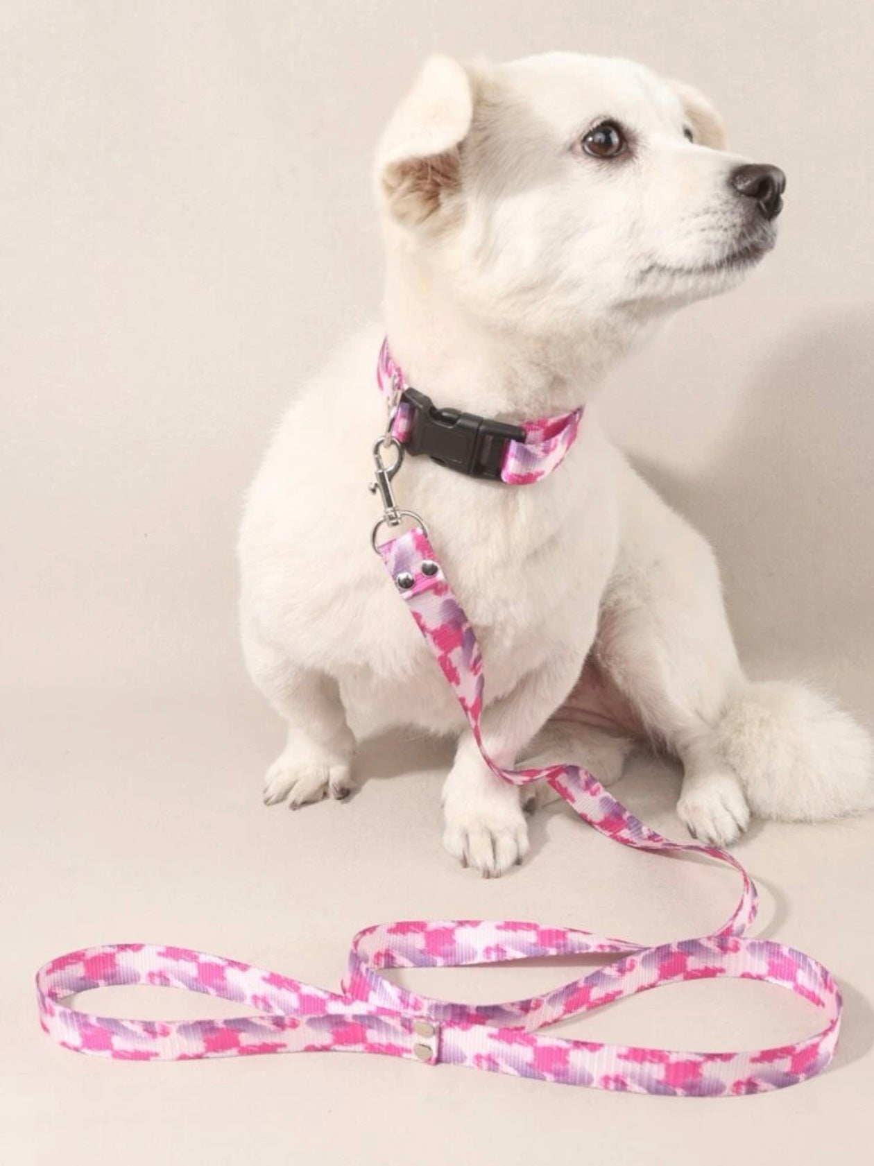 Pink collar & leash set