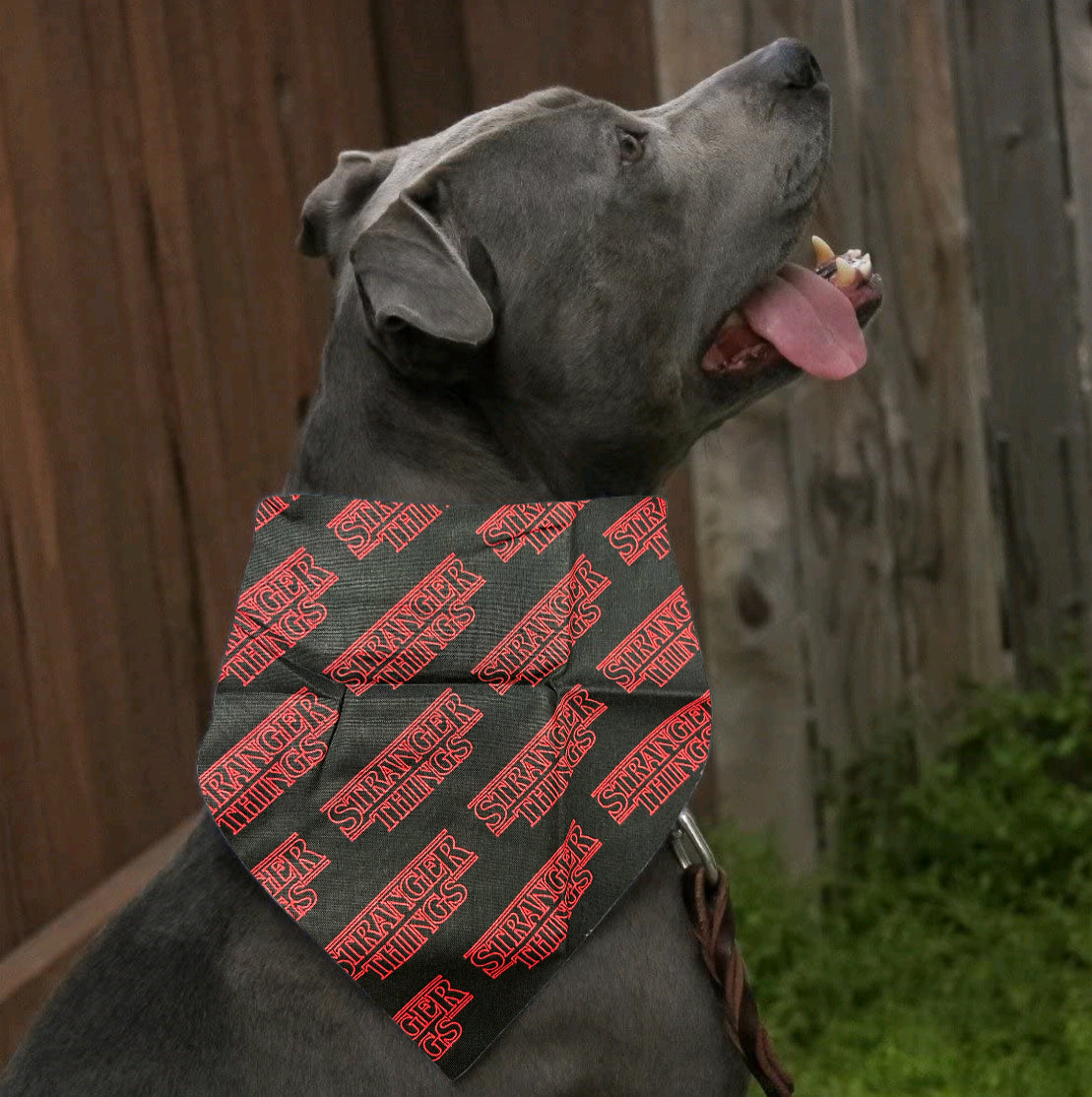 Strangers Things bandana