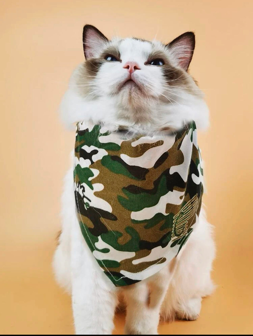 Cargo pet bandana