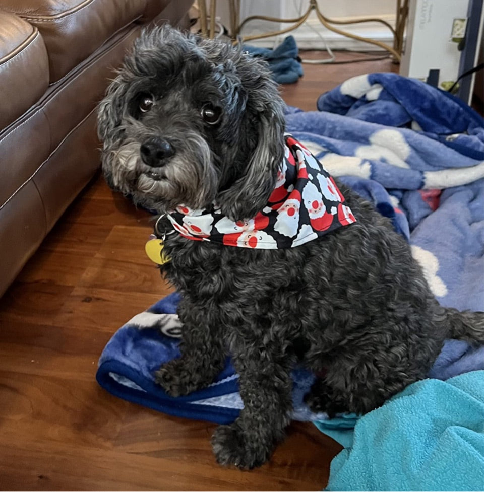 Santa Bandana