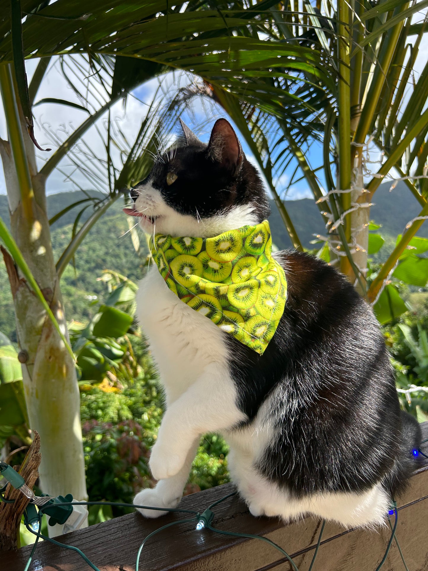 Kiwi bandana