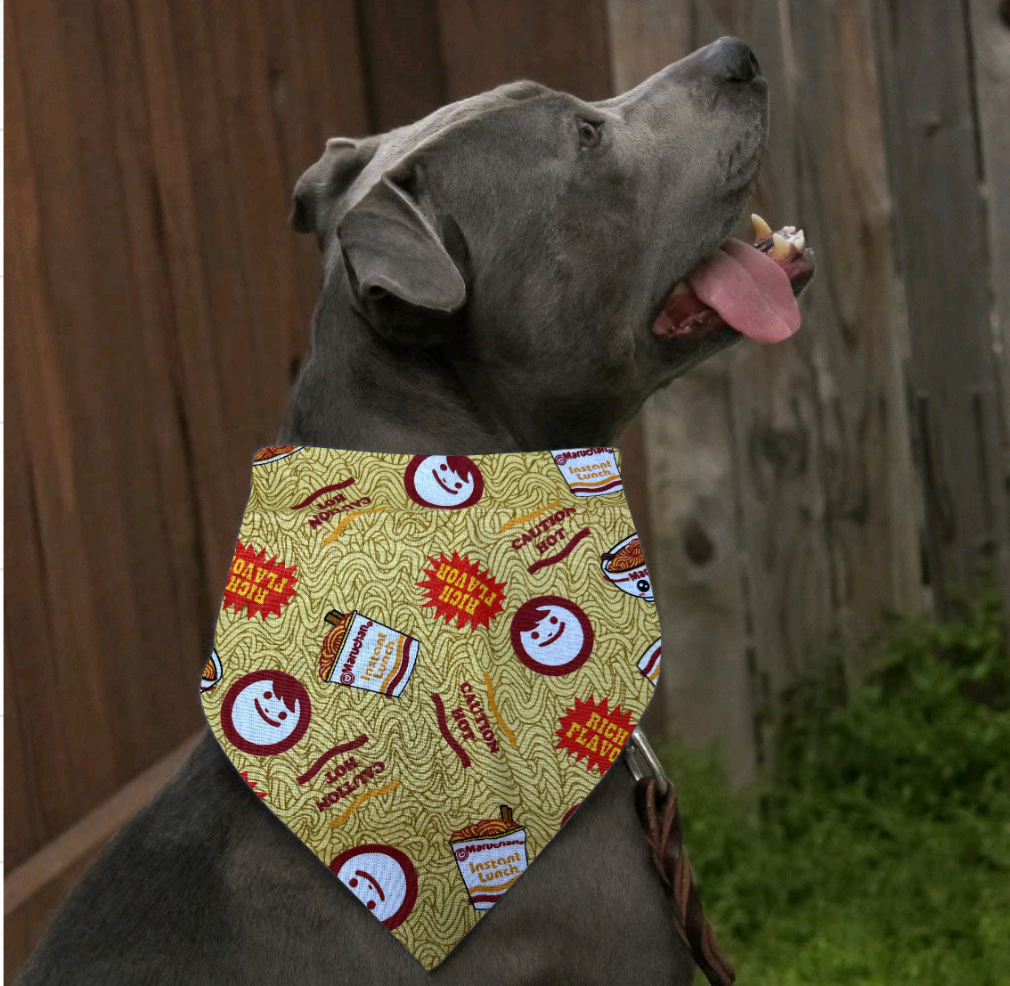 Ramen bandana