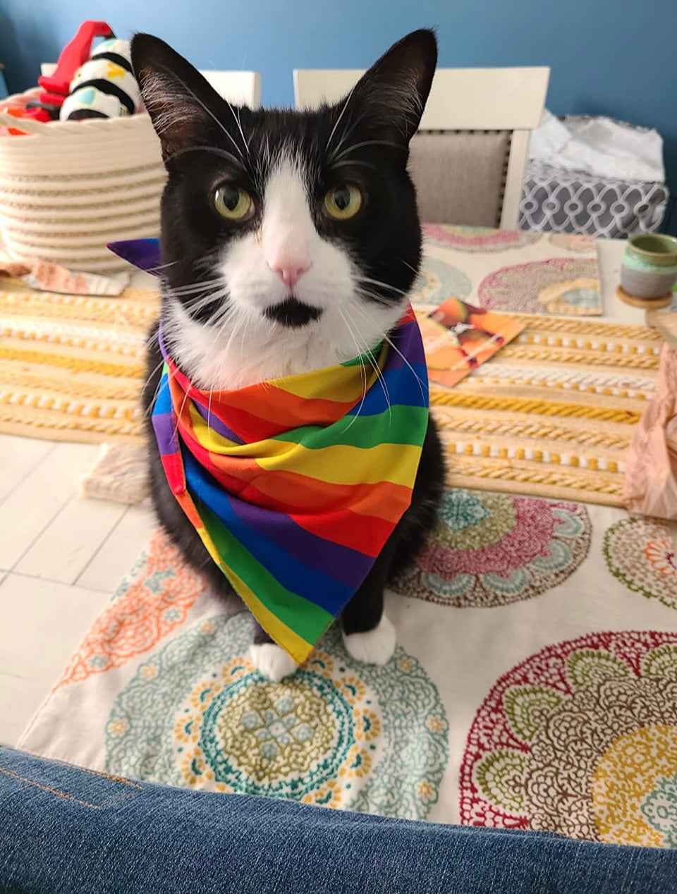 Bandana de Arco Iris