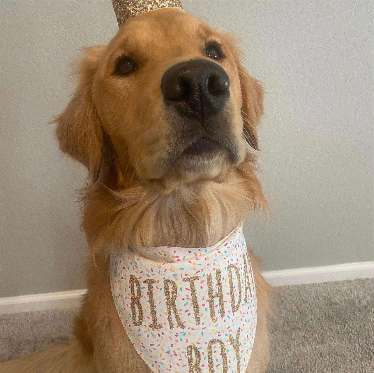 Birthday sprinkles bandana