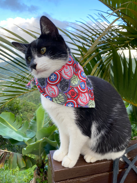 Super Heroes Bandana