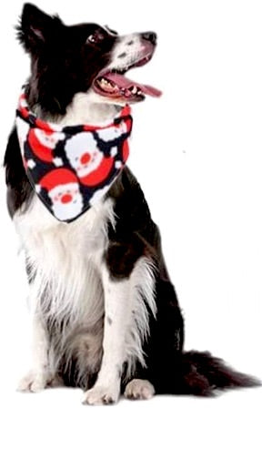 Santa Bandana