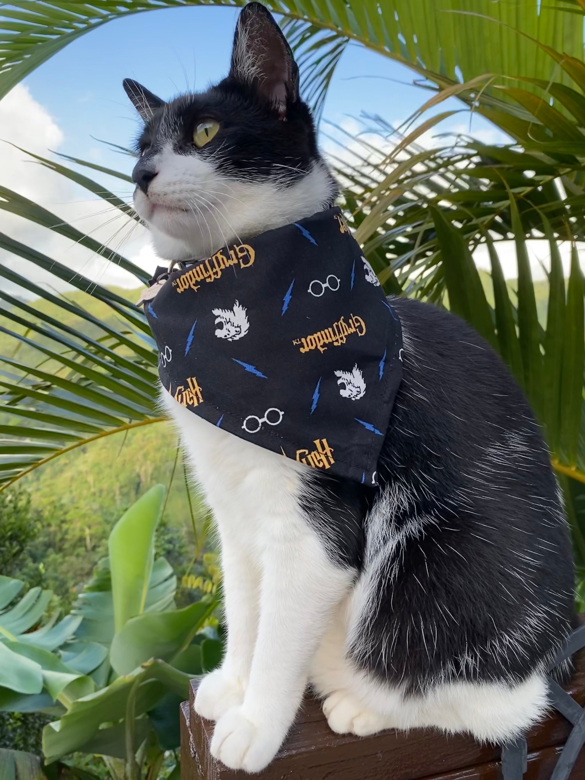 Harry potter bandanas hot sale