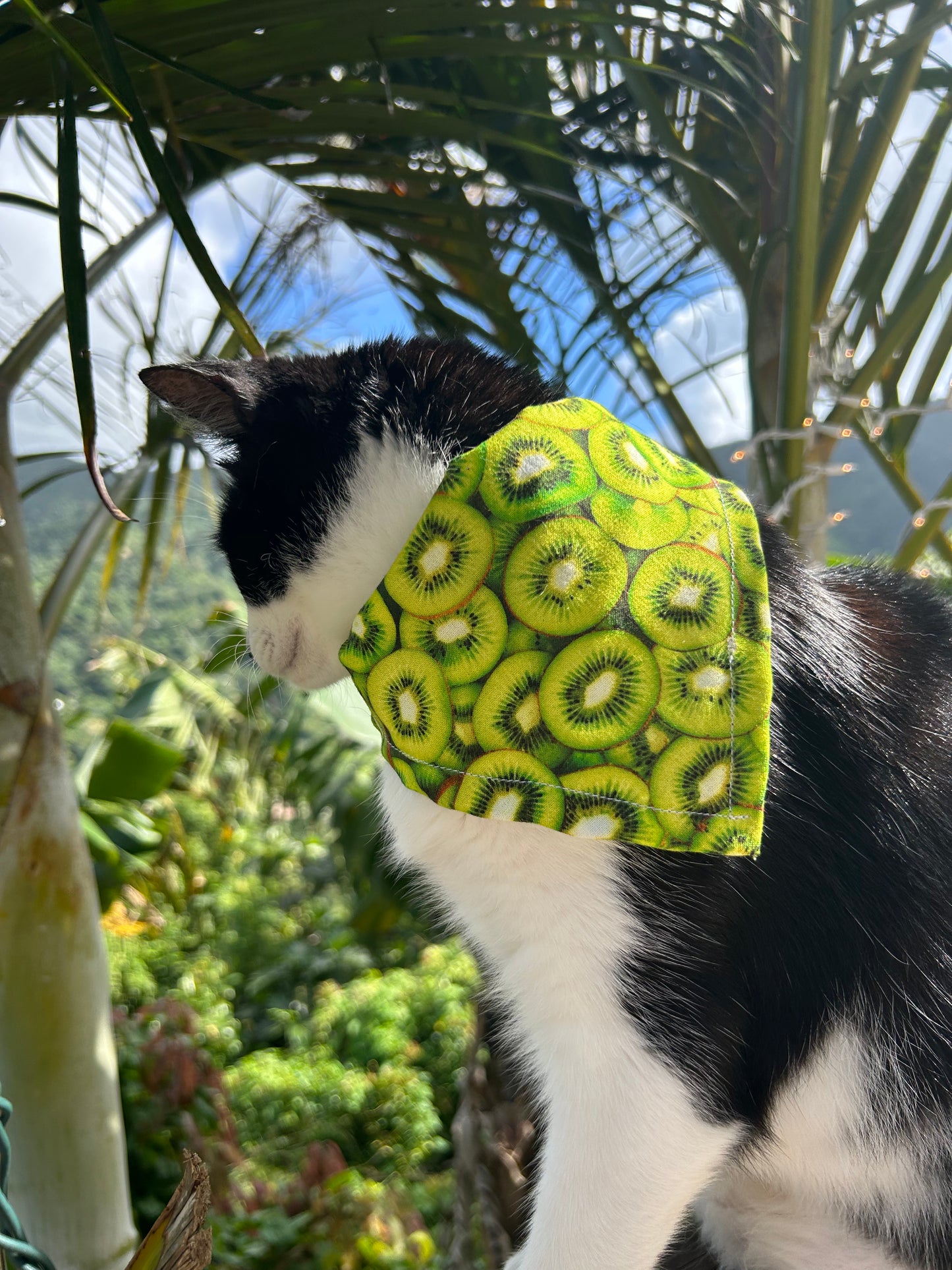 Kiwi bandana