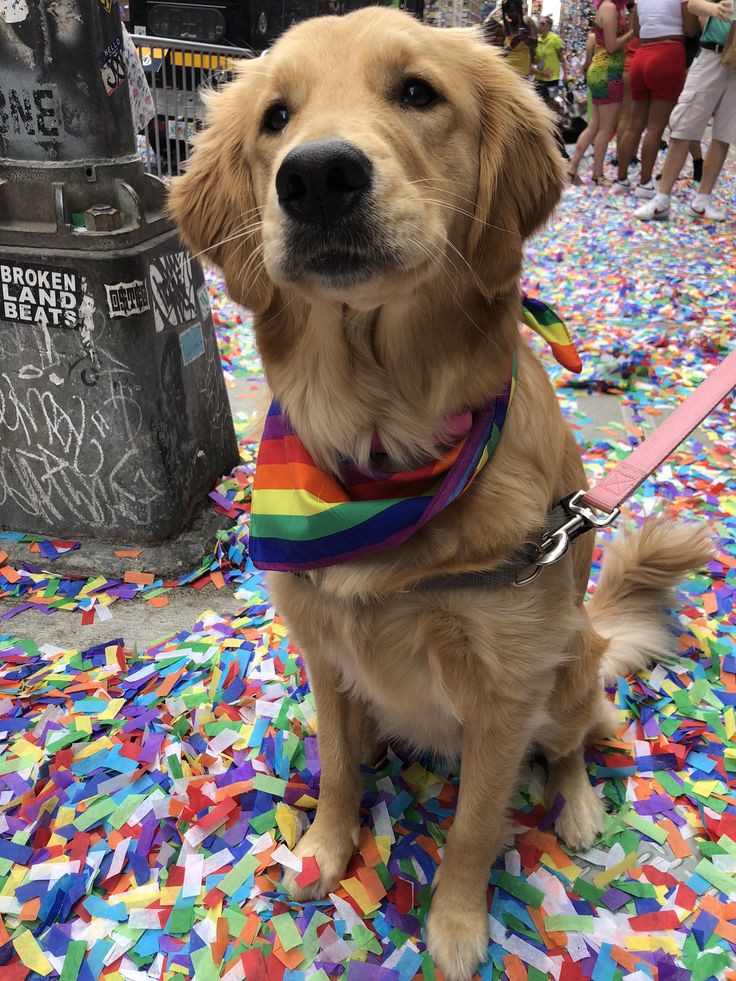 Bandana de Arco Iris