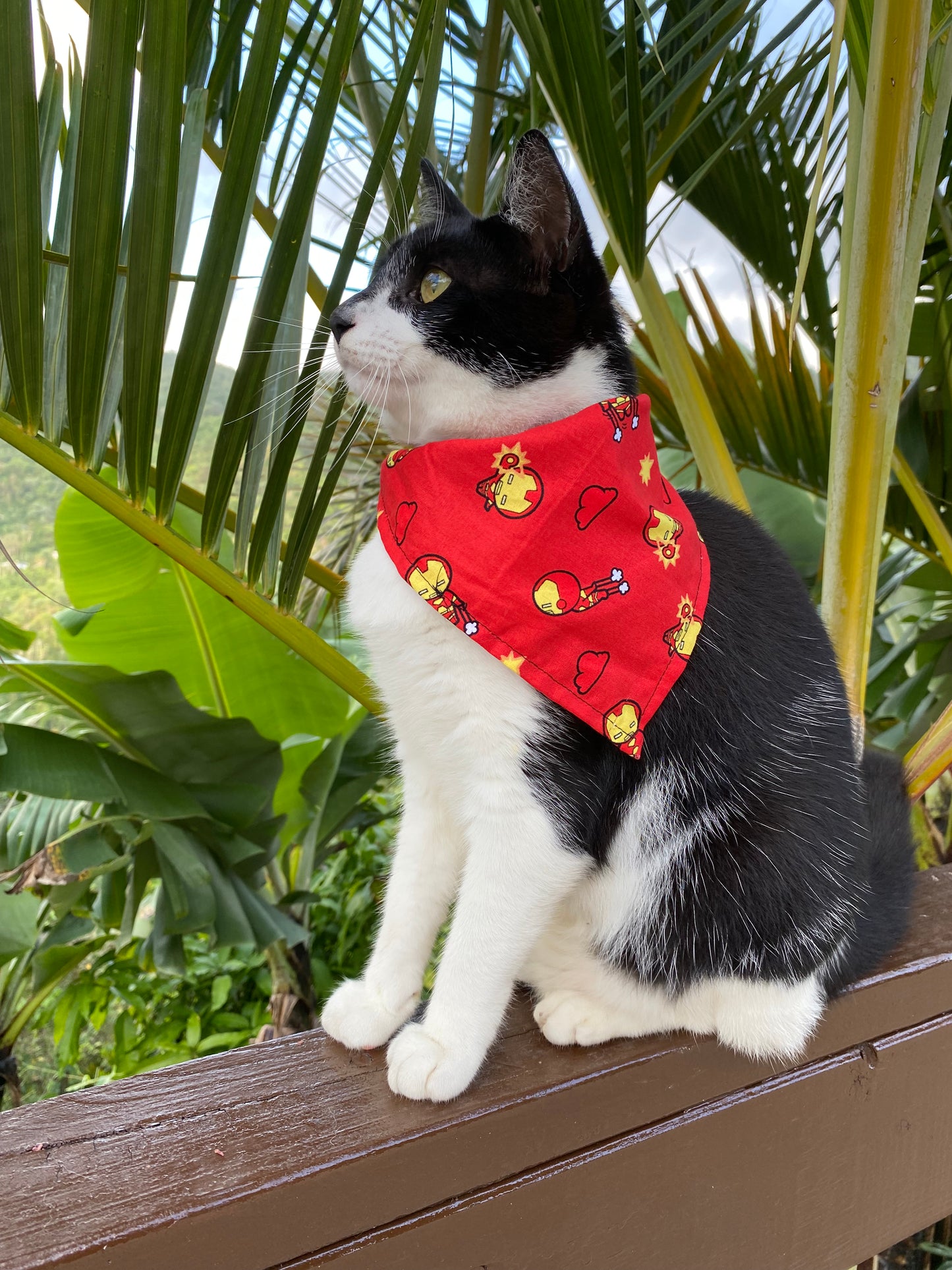 Super Heroes Bandana