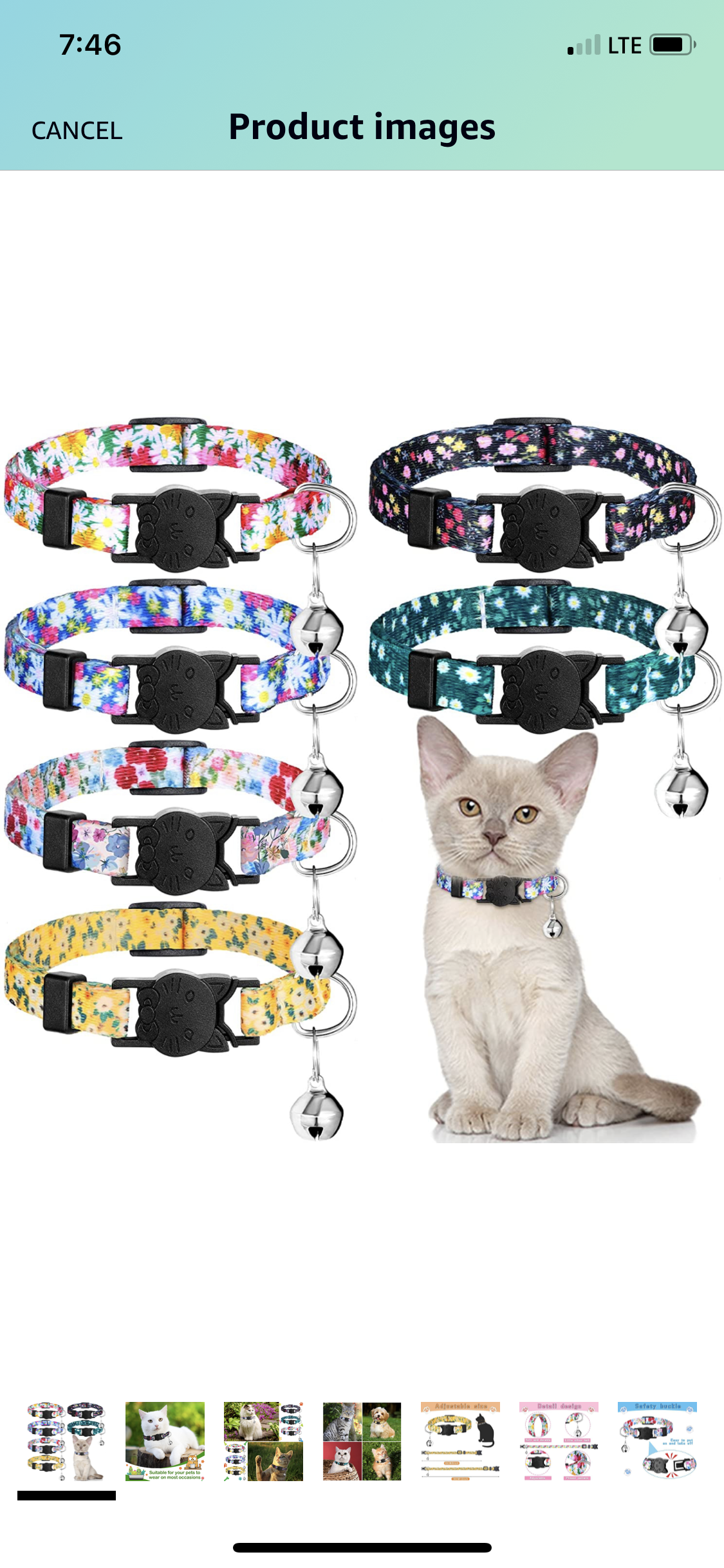 Collar de flores para gatos