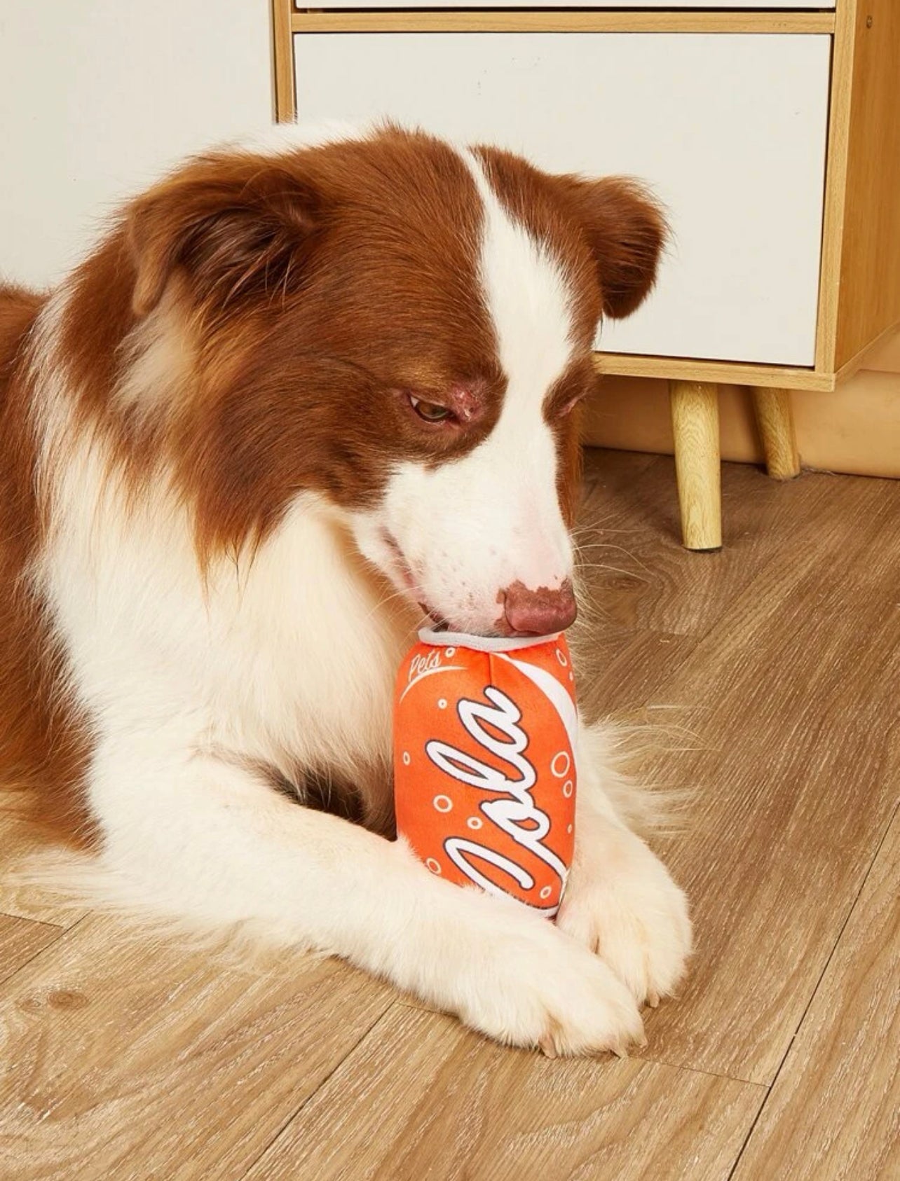 Pet can toy